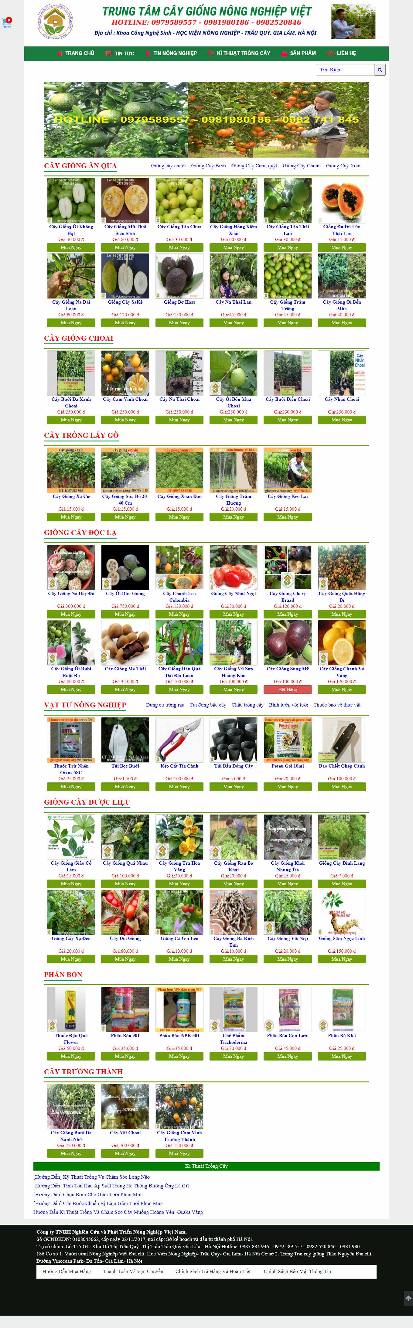 [hatgiongbansi] Thiết kế Website Web bán hạt giống cây trồng - giongcaytrongorg