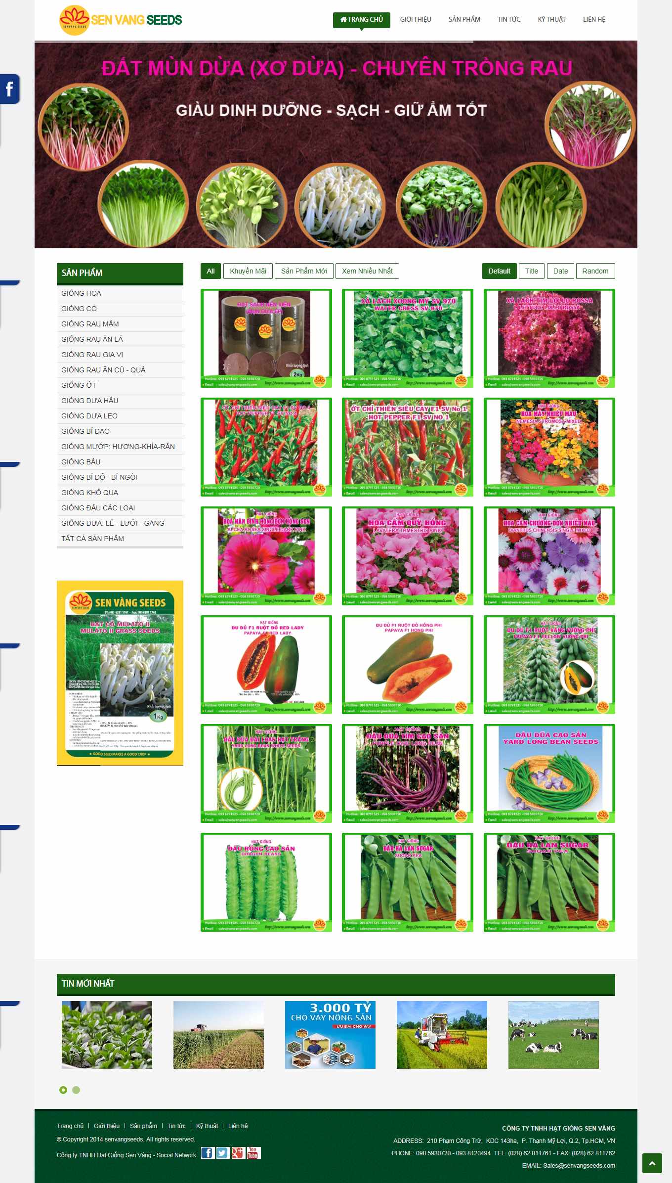 [hatgiongbansi] Thiết kế Website Web bán hạt giống cây trồng - senvangseedscom