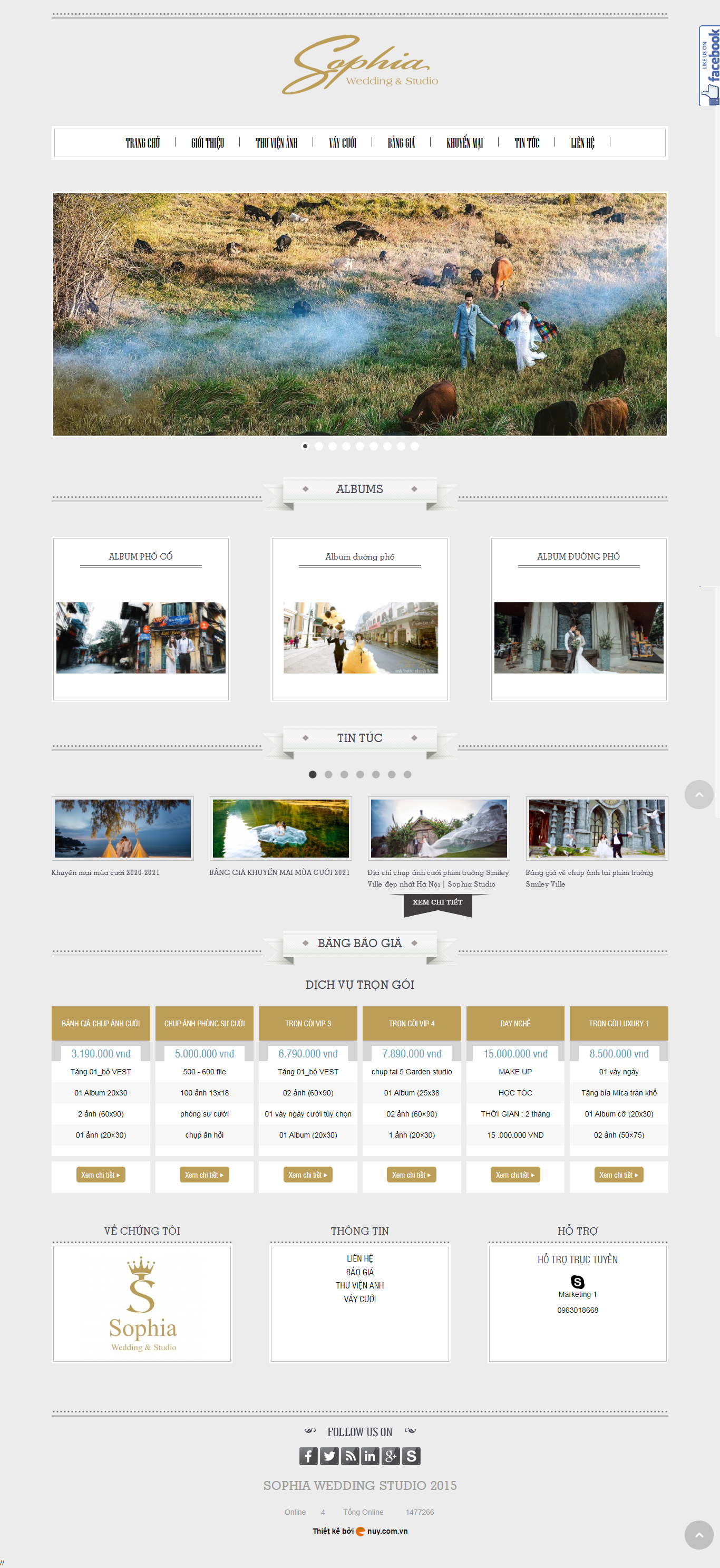 Thiết kế Website web ảnh viện áo cưới đẹp - wwwanhvienaocuoivn