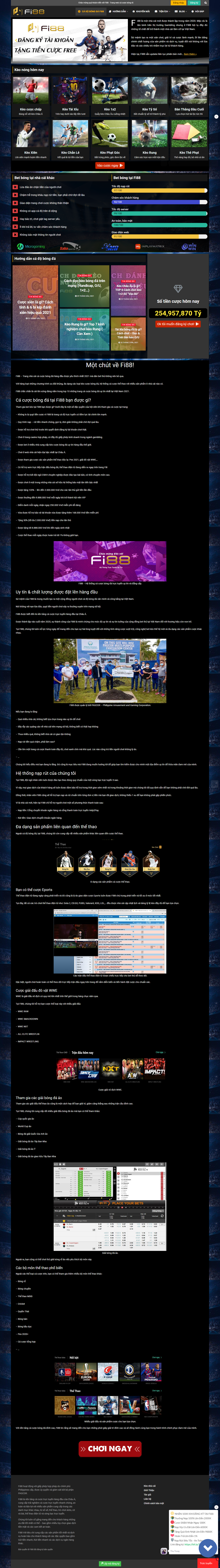 Thiết kế Website web cá độ bóng đá - bongdafi88com