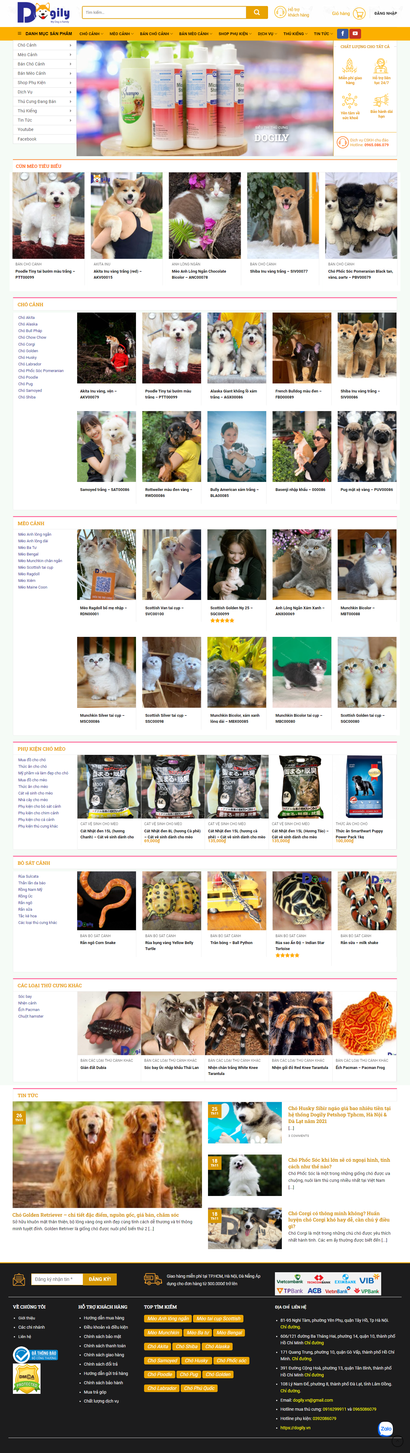 Thiết kế Website web bán thú cưng - dogilyvn