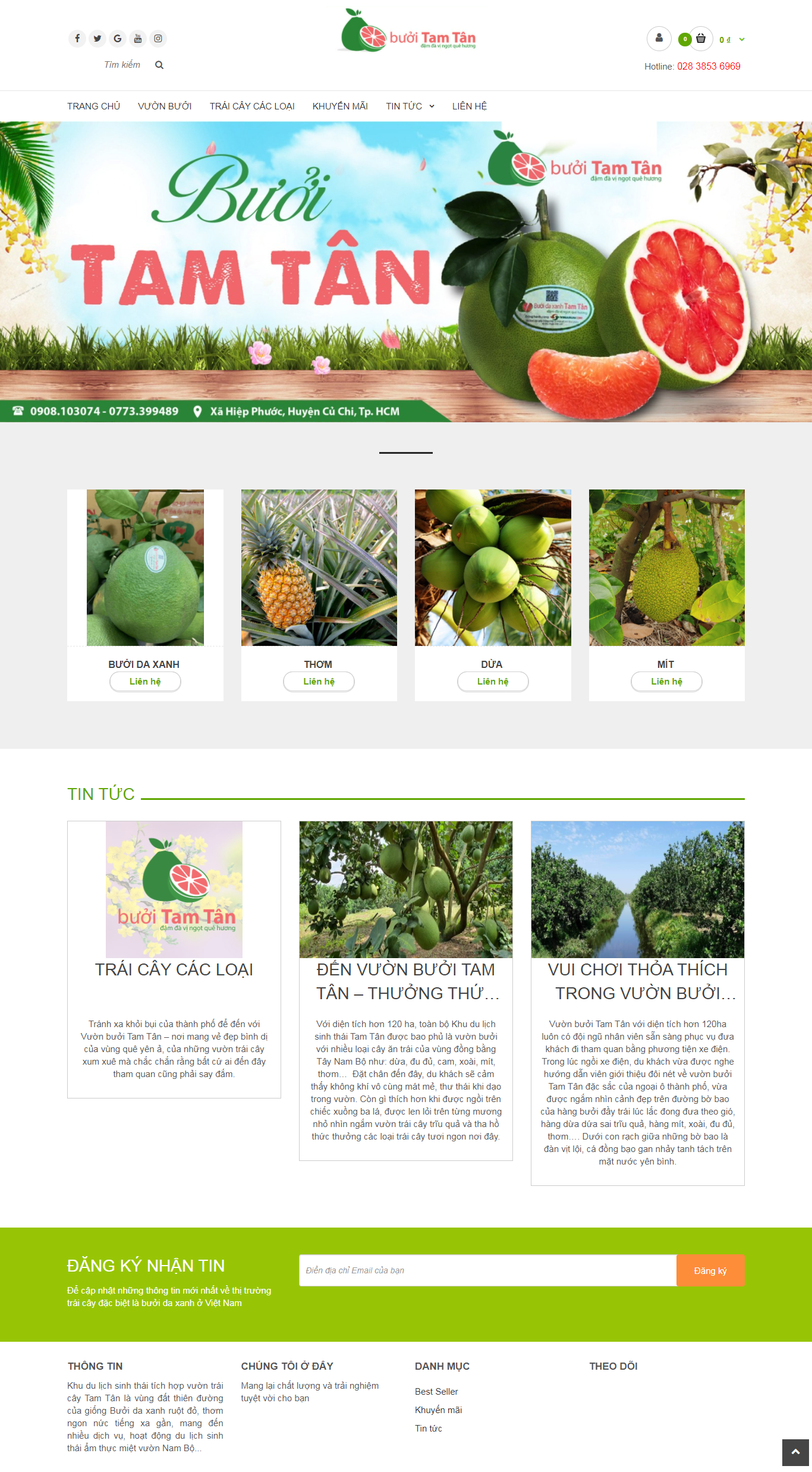 Thiết kế Website web bán bưởi da xanh - dulichtamtancom