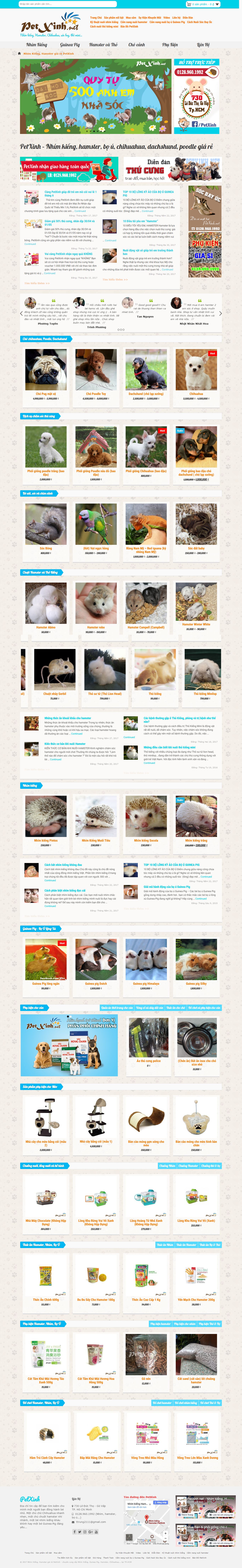 Thiết kế website pet xinh đẹp, chuyên nghiệp chuẩn SEO