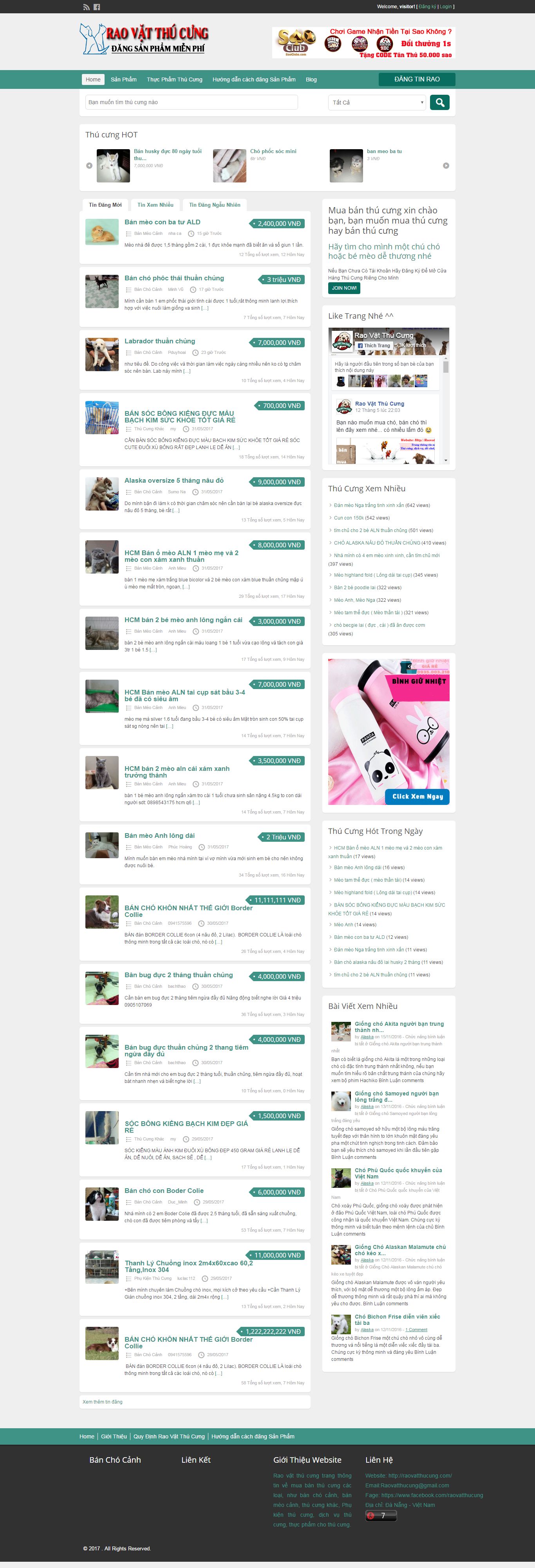 Thiết kế website rao vặt thú cưng đẹp, chuyên nghiệp chuẩn SEO
