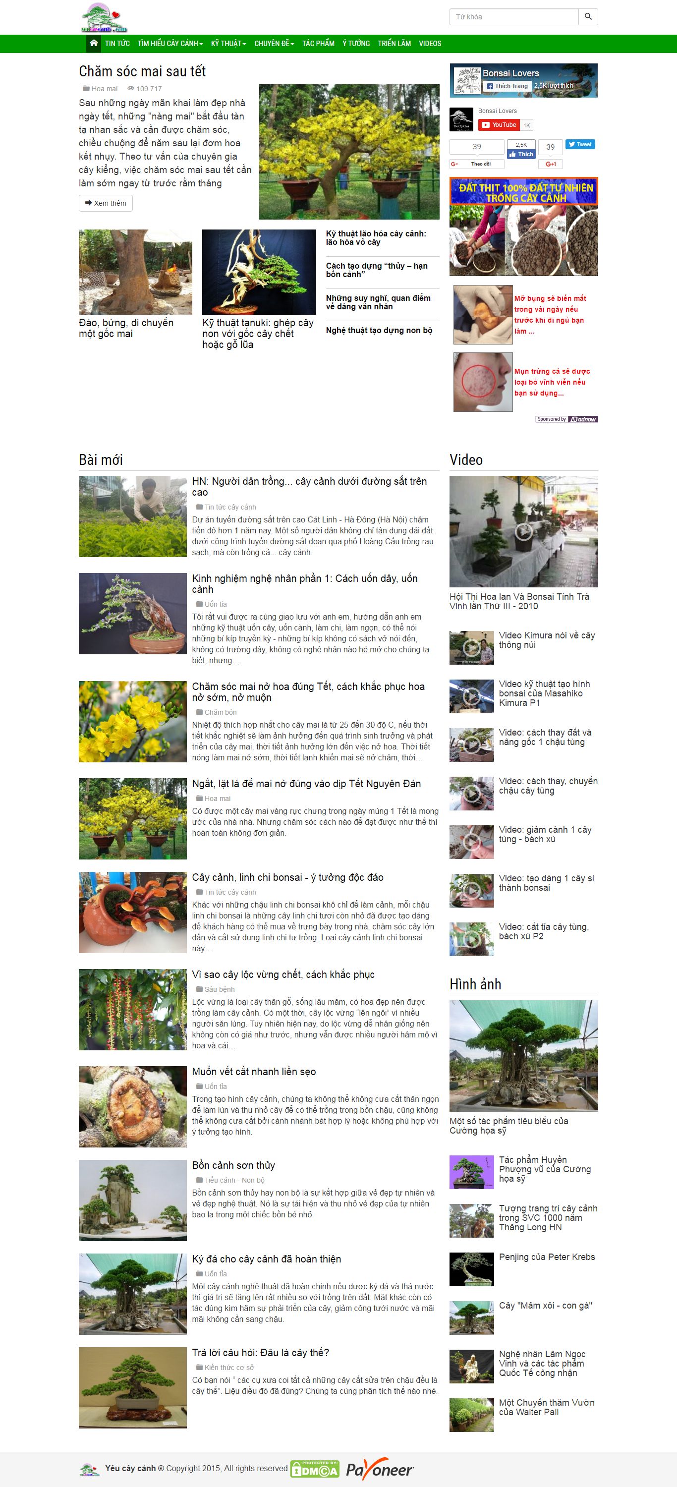 Thiết kế website yêu cây cảnh đẹp, chuyên nghiệp chuẩn SEO