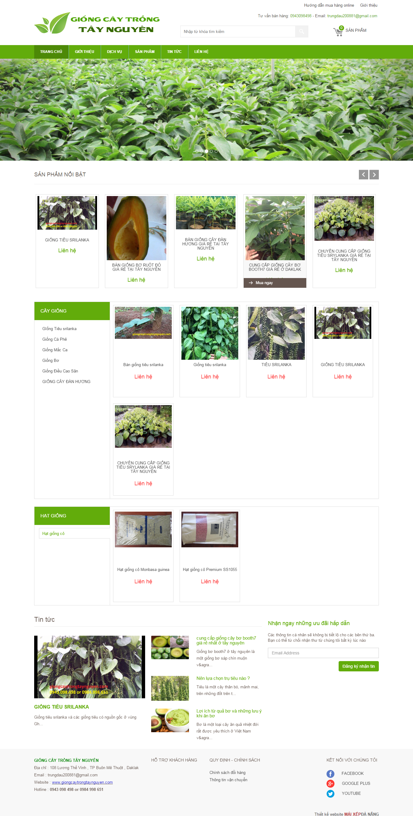 Thiết kế website giống cây trồng với nhiều loại cây, rau củ mới năng suất cao