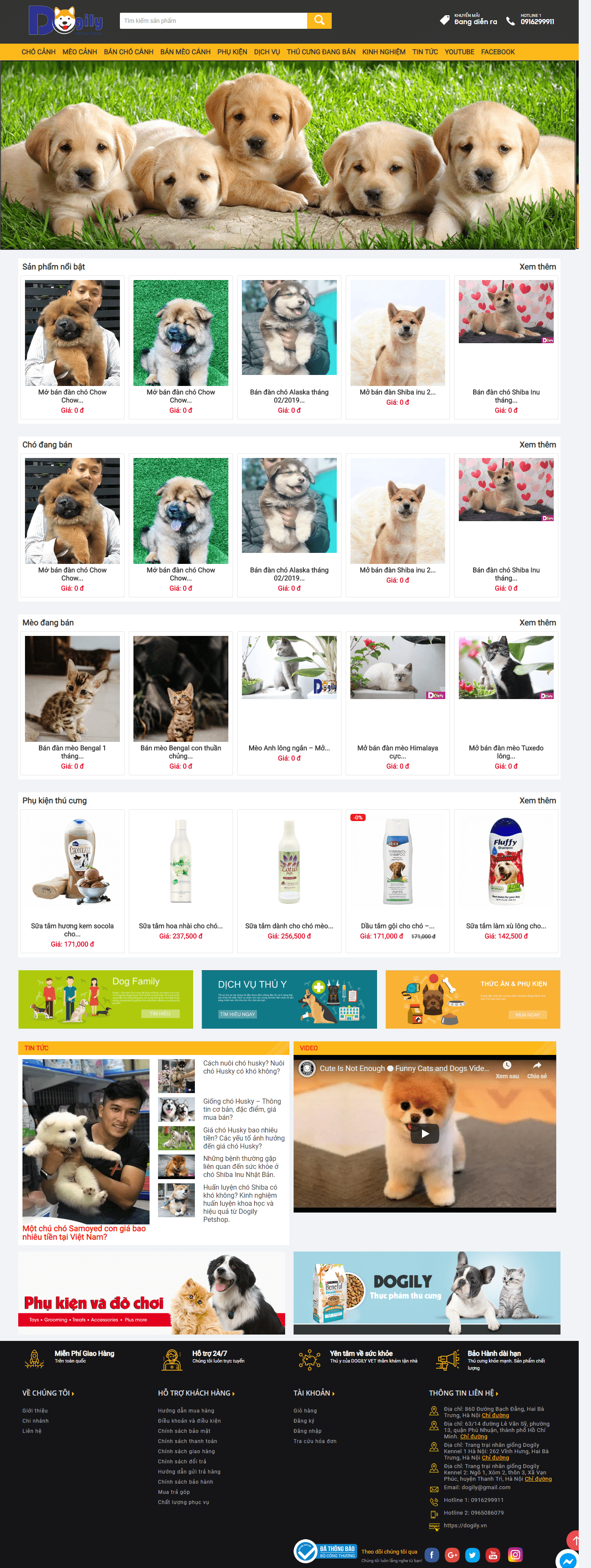 Thiết kế website động vật & vật nuôi - https://dogily.vn/