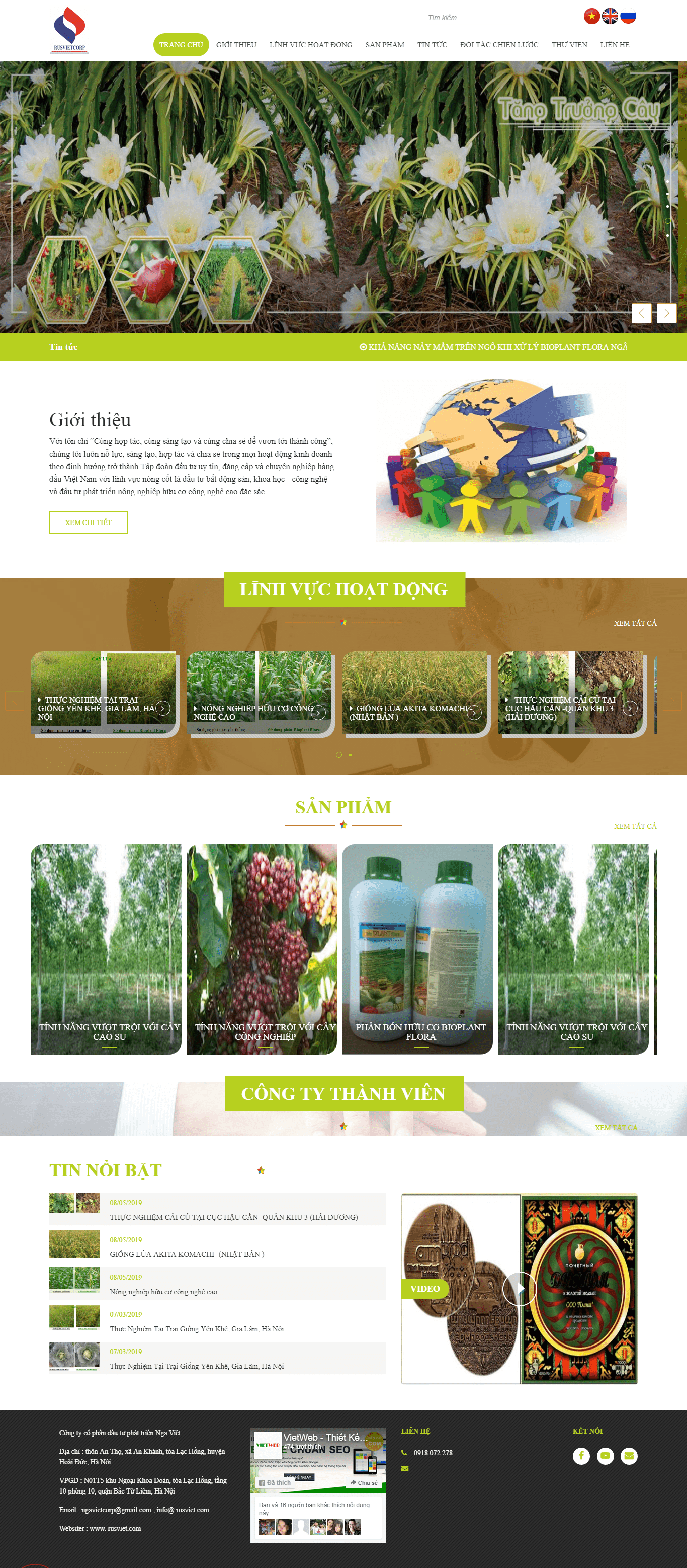 Thiết kế website giới thiệu công ty - bachduongcorp.vn