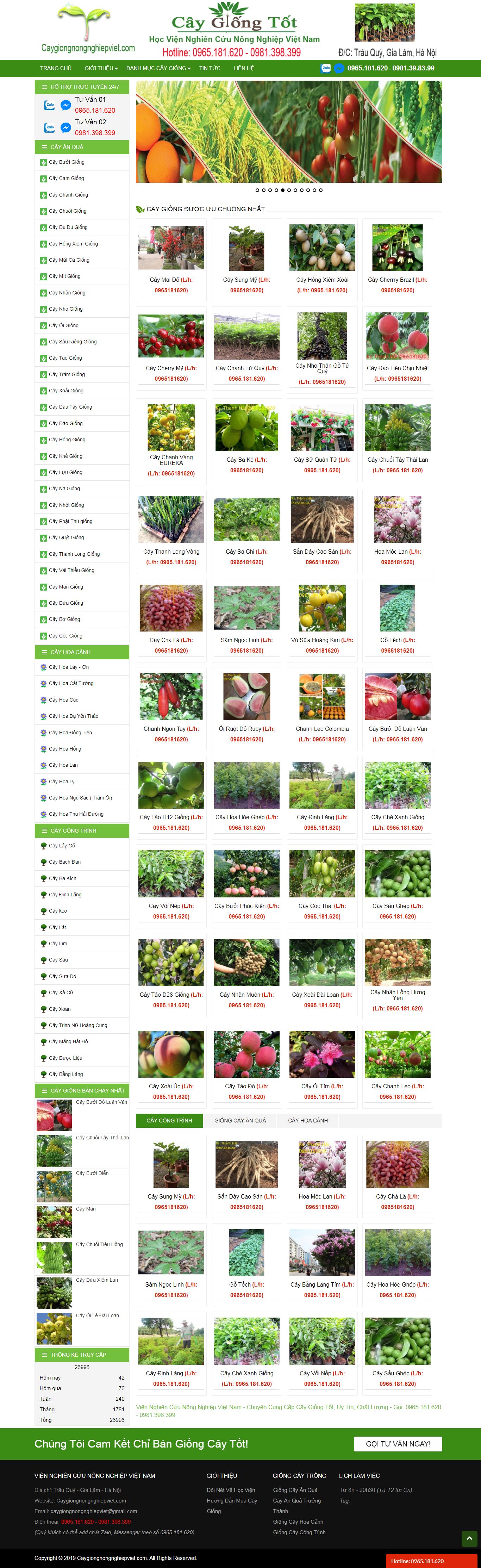 Thiết kế website giống cây trồng với nhiều loại cây mới năng suất cao