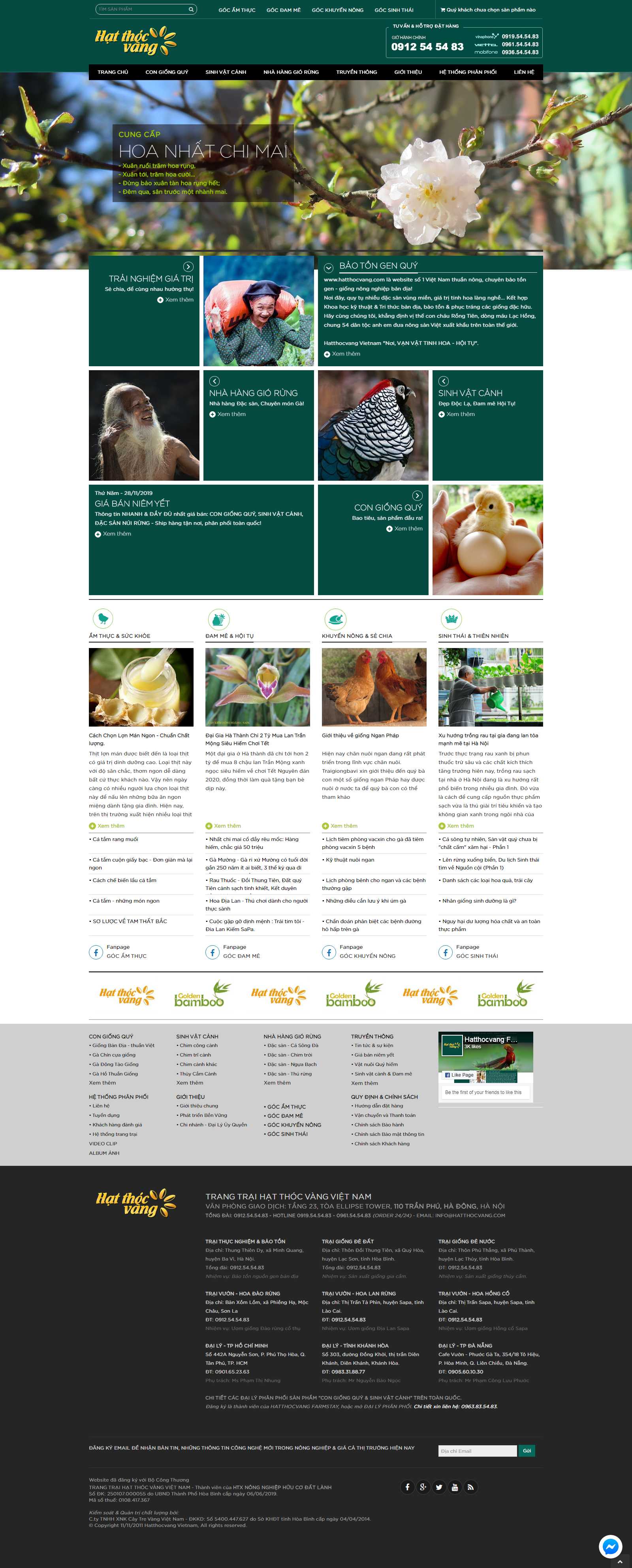 Thiết kế web asp.net - hatthocvang.com