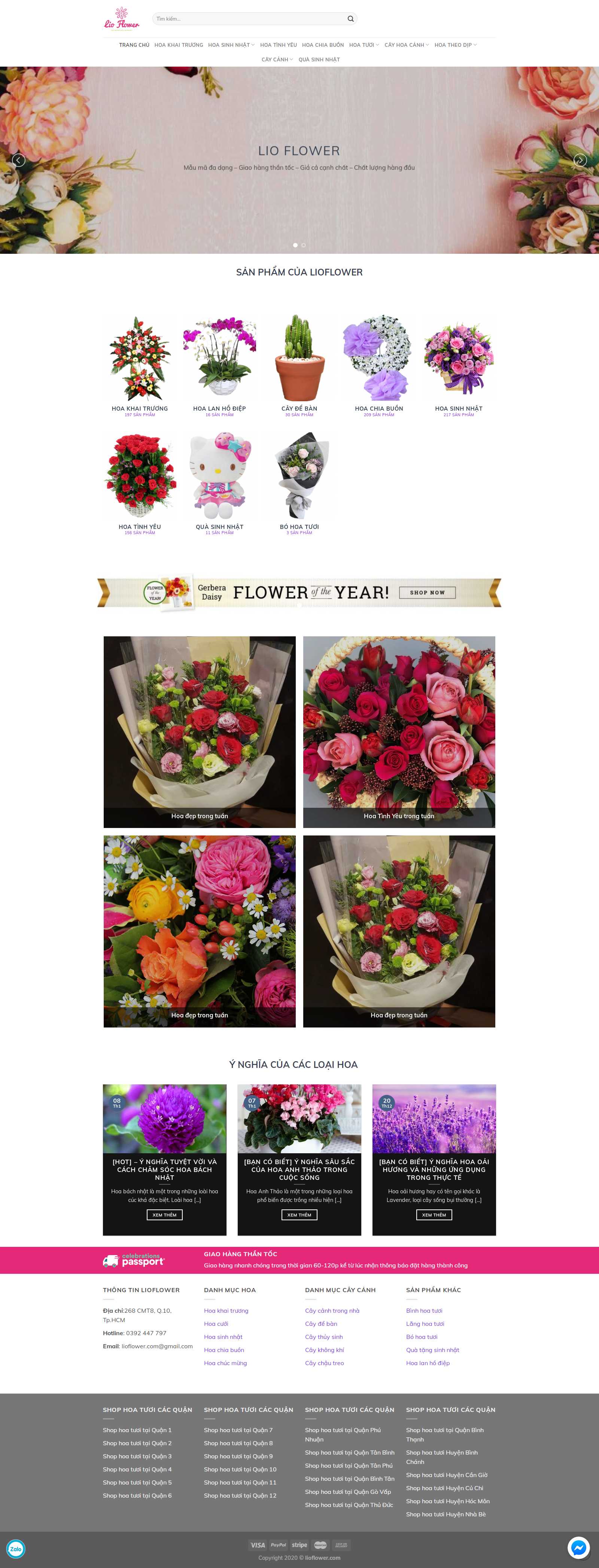 Thiết kế web uy tín hà nội - lioflower.com