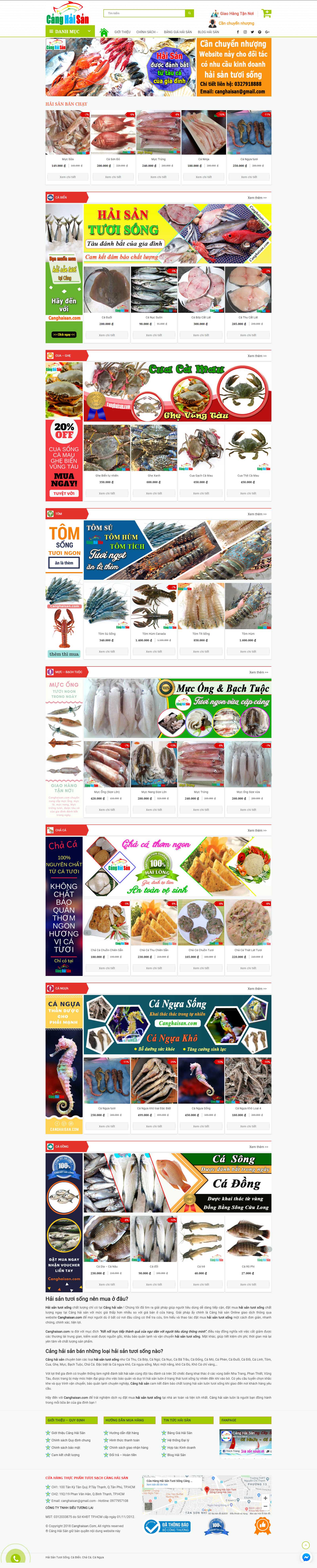 Thiết kế Web Quận Thanh Xuân - canghaisan.com