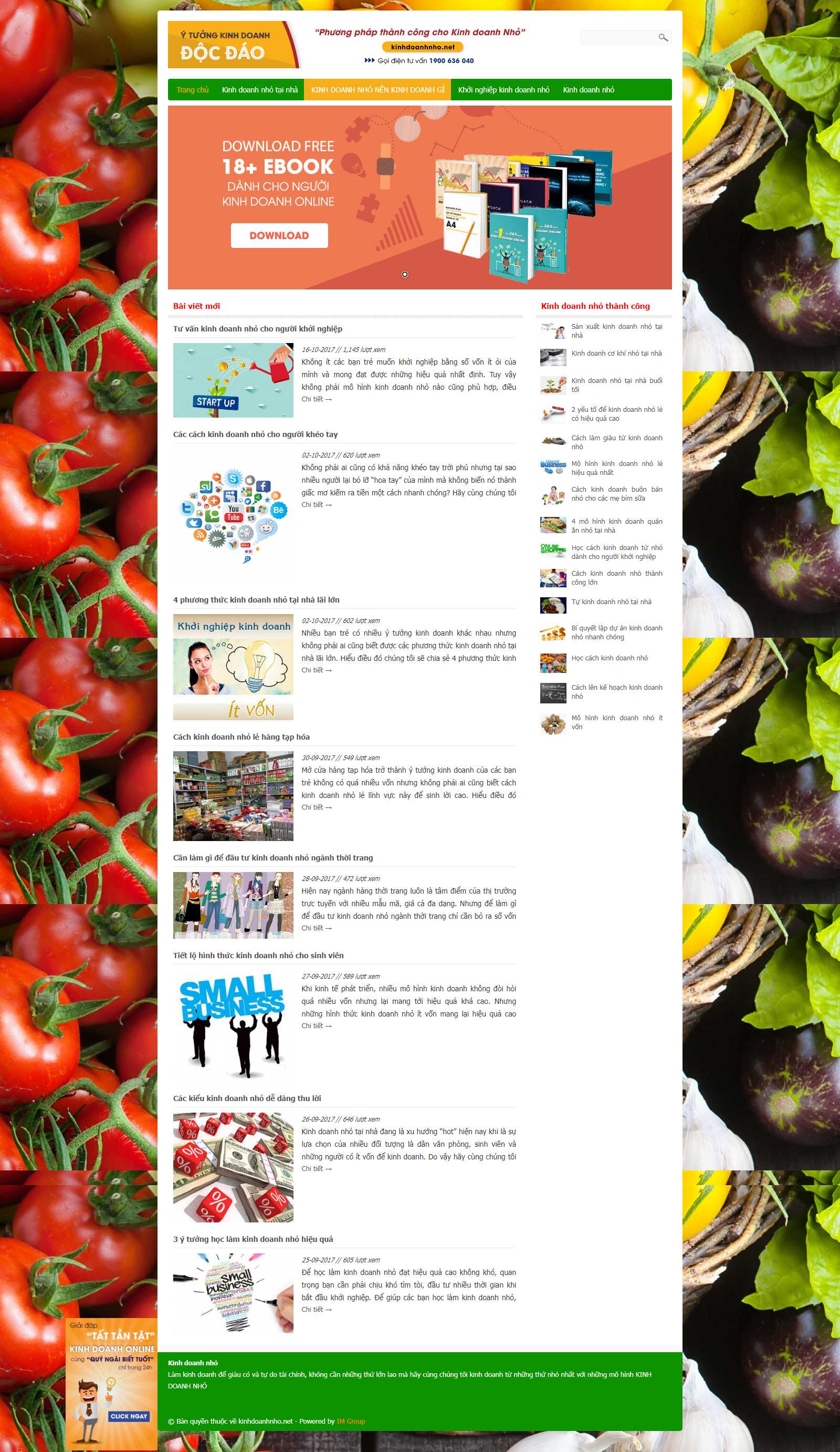 Thiết kế Web Quảng Bình - kinhdoanhnho.net