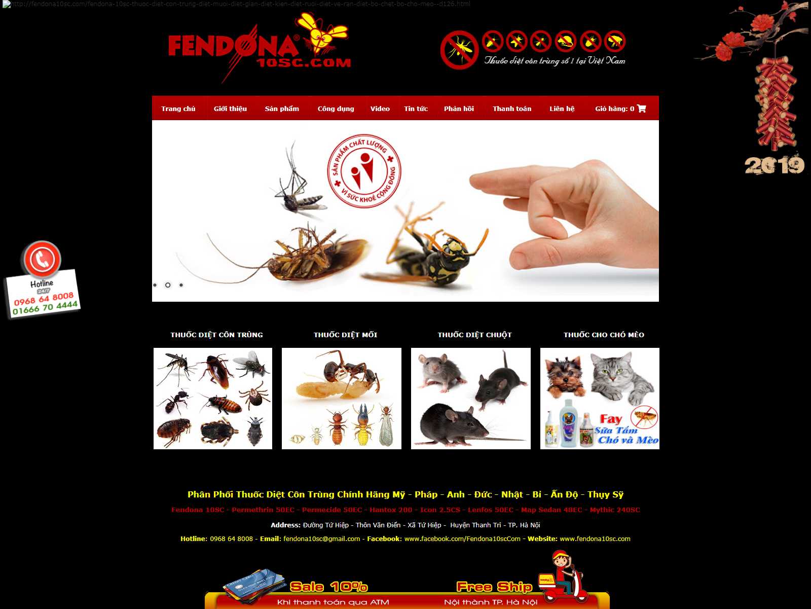 Thiết kế Web Sơn La - fendona10sc.com