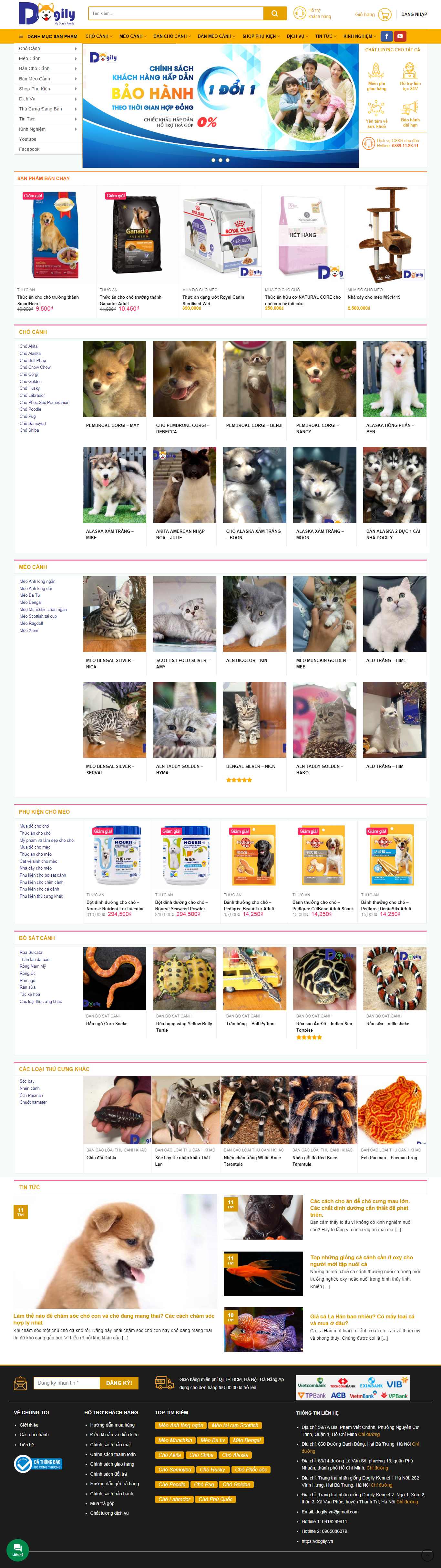 Thiết kế Web chuẩn seo giá rẻ - dogily.vn