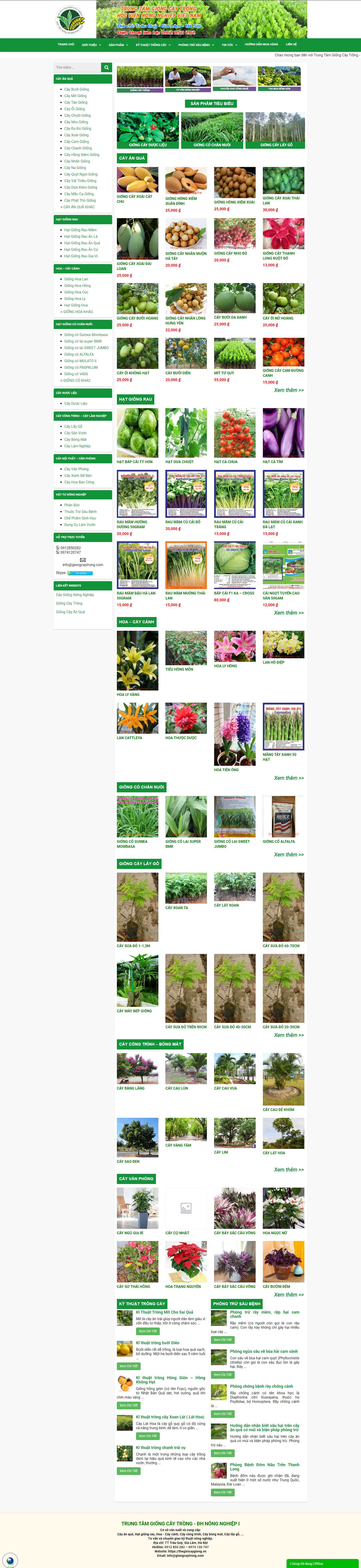 Thiết kế Web Quận 1 - thegioicaygiong.vn