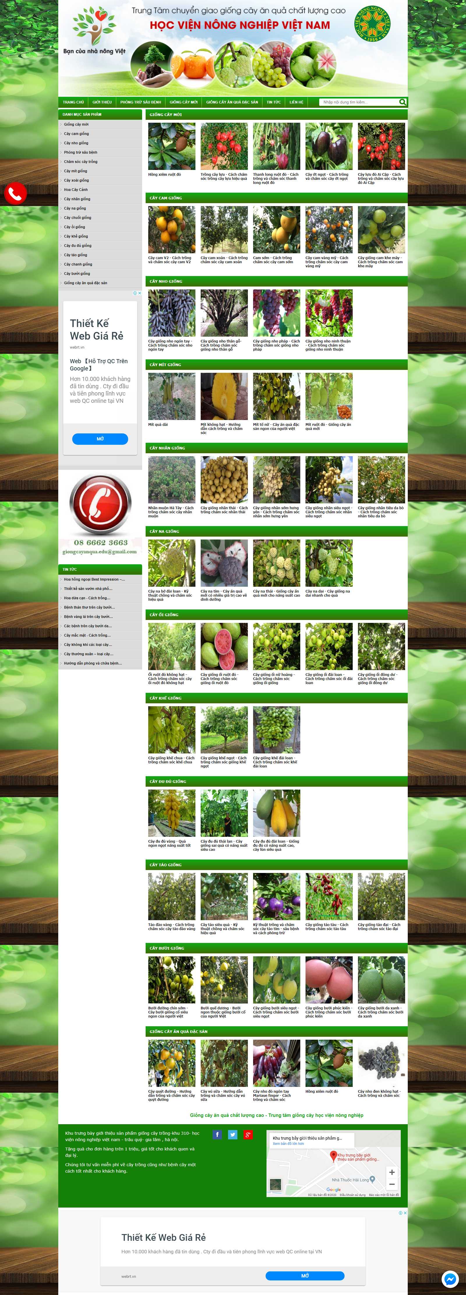 Thiết kế Web Quận 2 - giongcayanqua.edu.vn