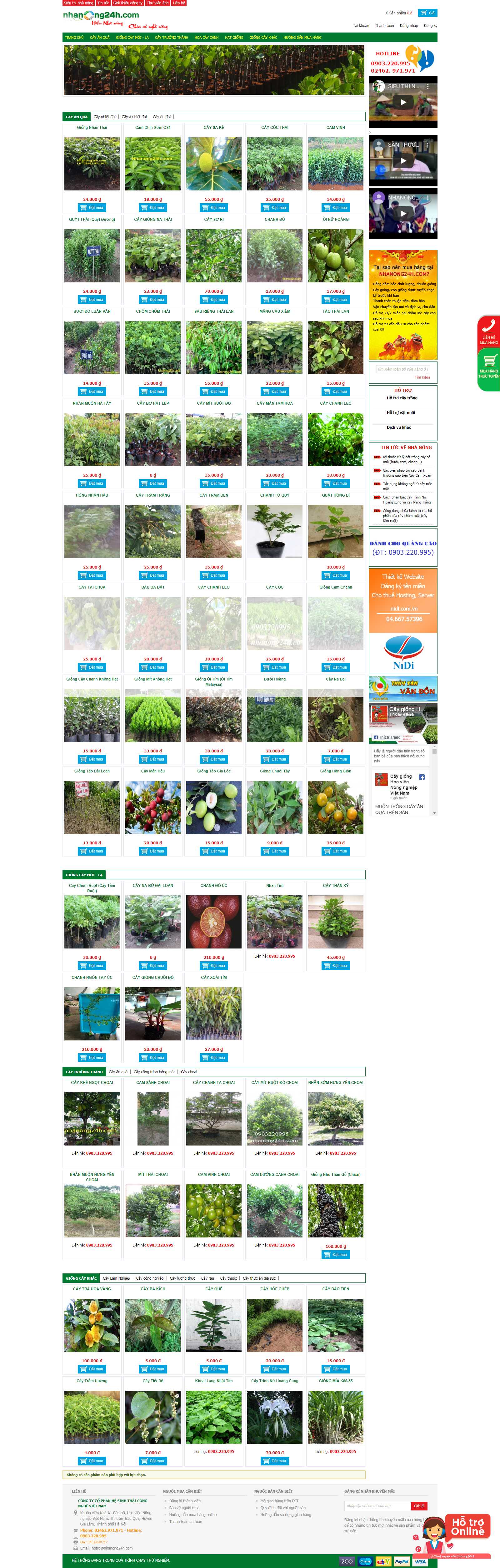 Thiết kế Web Quận 2 - sieuthinhanong.vn