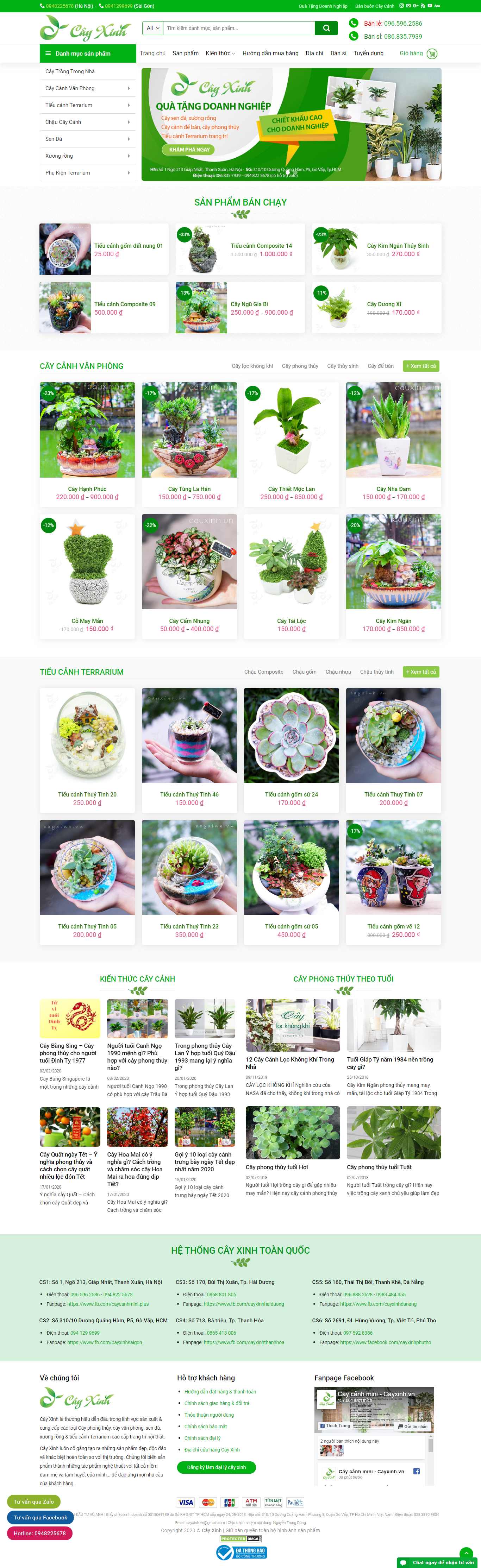 Thiết kế Web cây cảnh văn phòng - cayxinh.vn