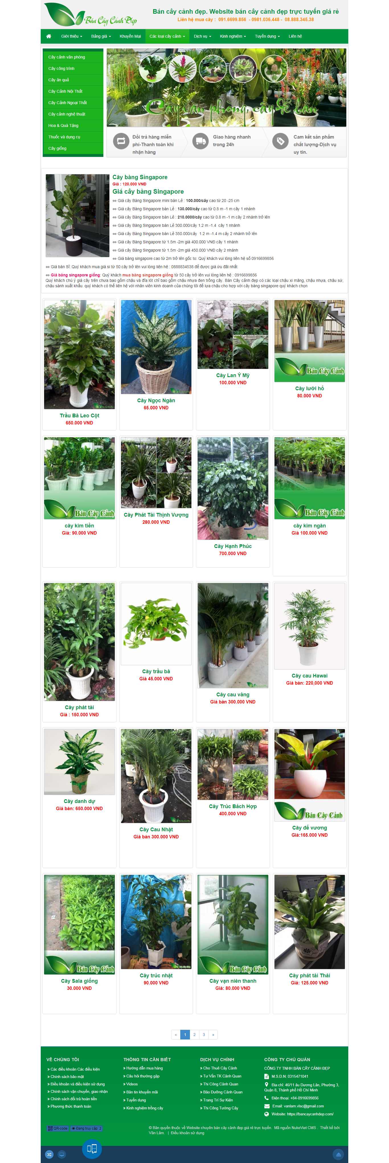 Thiết kế Web cây cảnh đẹp - bancaycanhdep.com