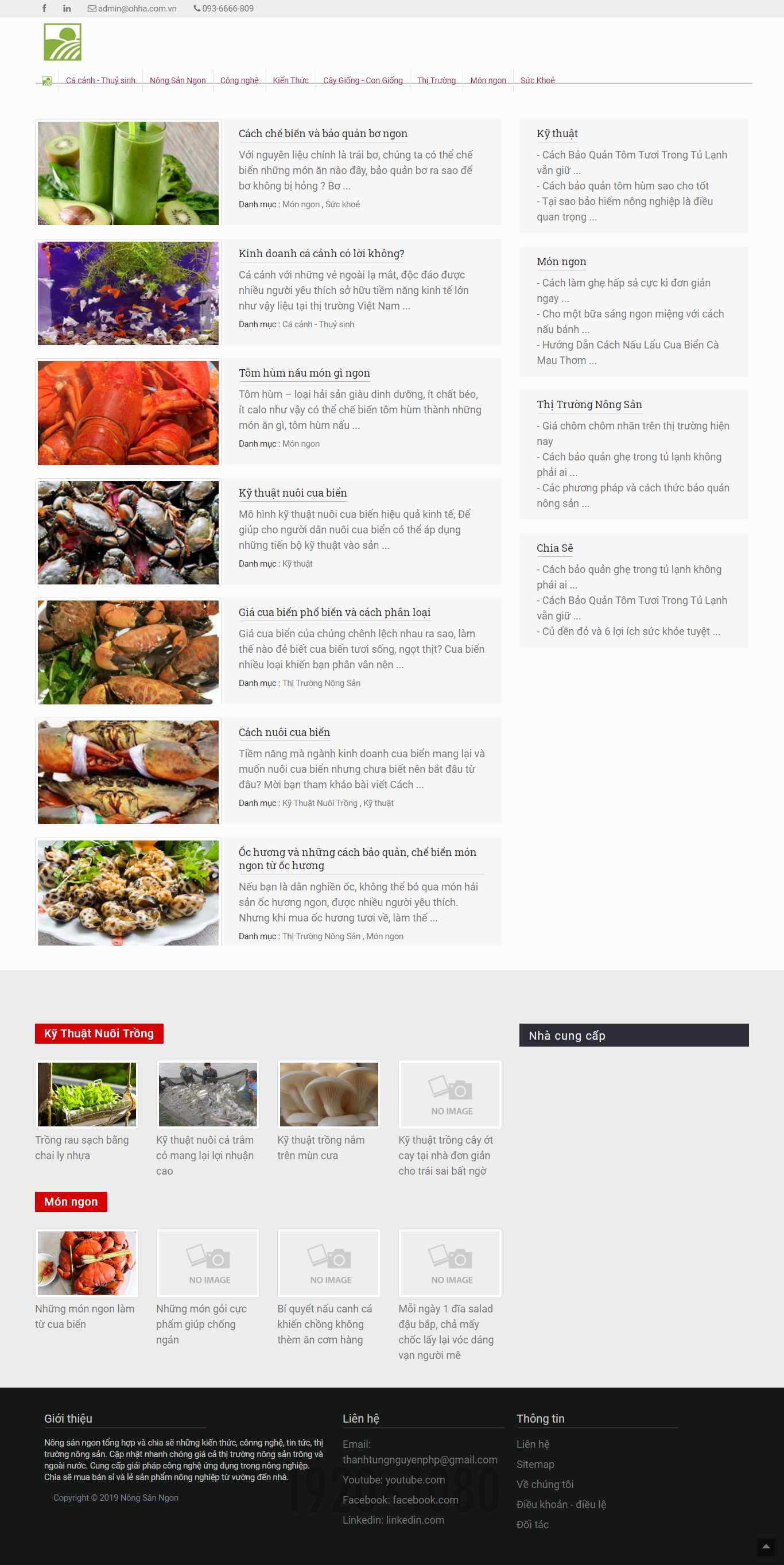 Thiết kế Web Nông nghiệp - nongsanngon.com.vn