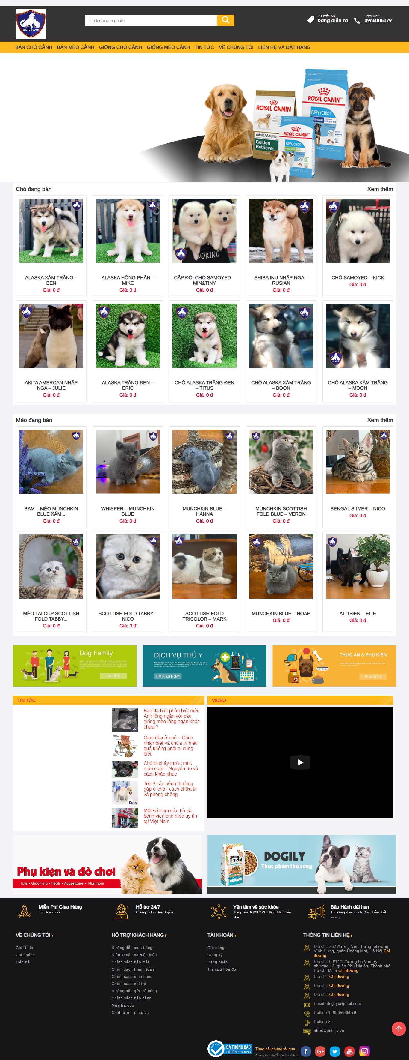 Thiết kế web thú cưng - petsily.vn