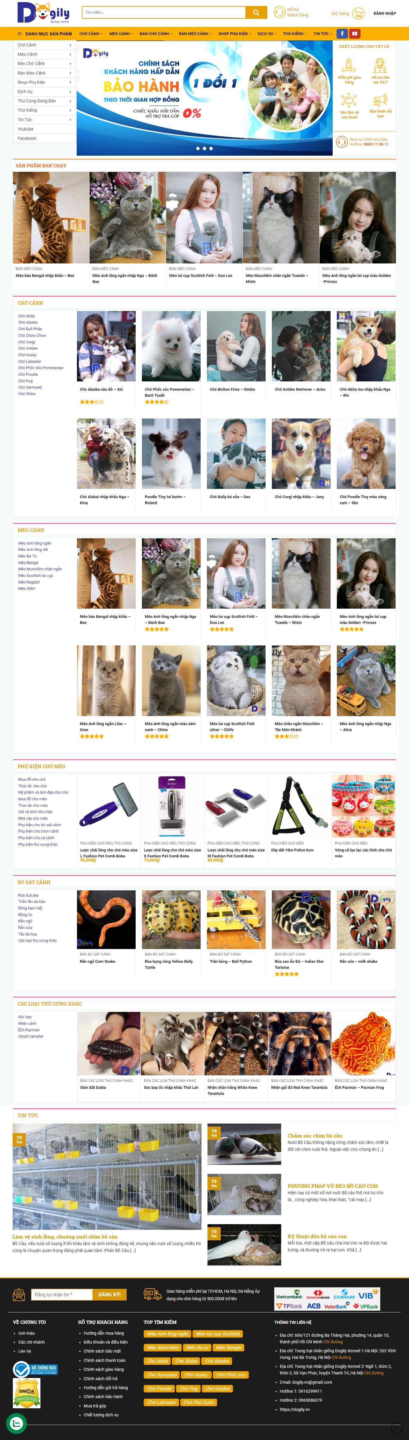 Thiết kế web thú cưng - dogily.vn