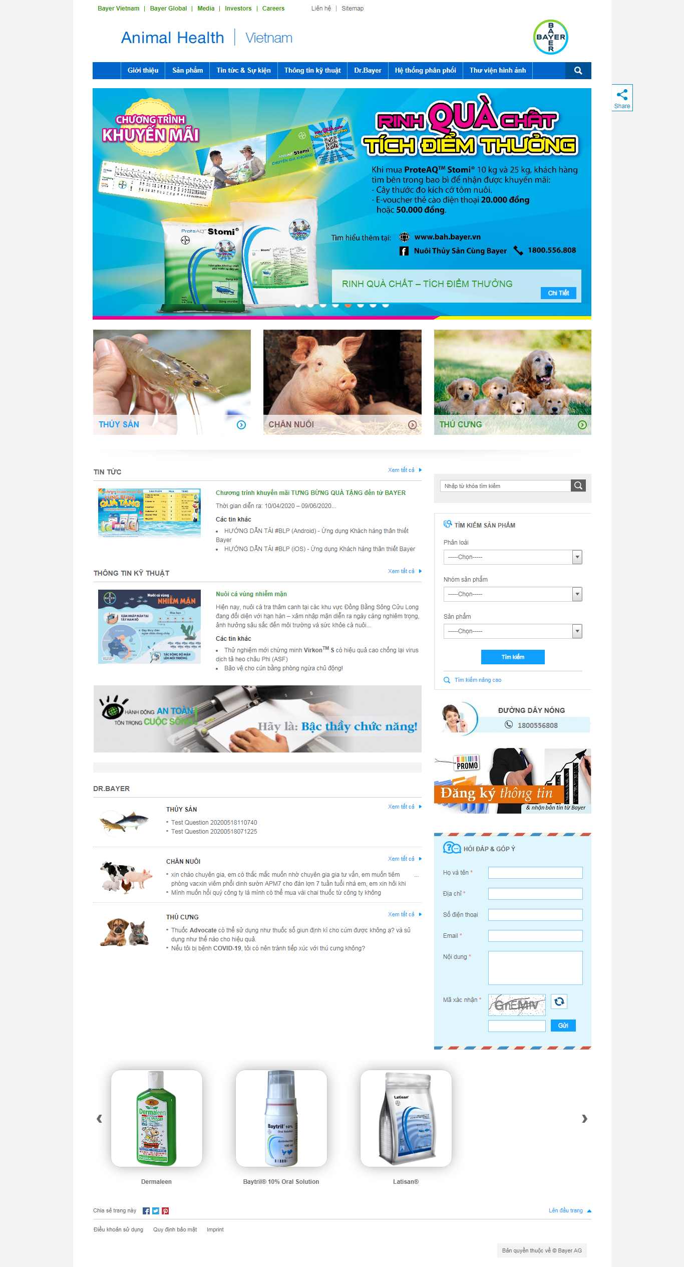 Thiết kế web đống đa - bah.bayer.vn