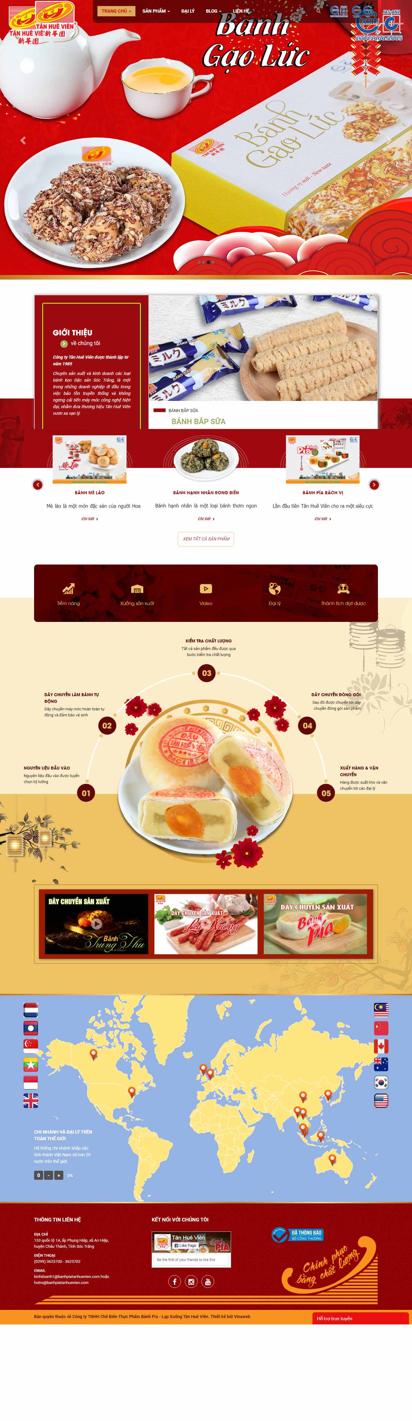 Thiết kế Web Bình Dương - banhpiatanhuevien.vn