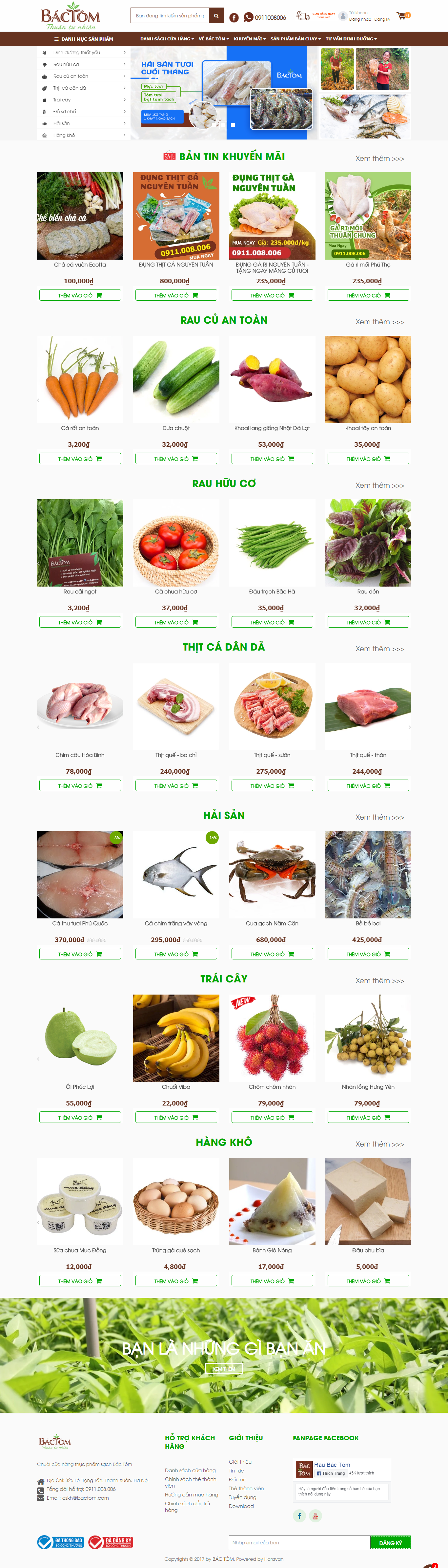 Thiết kế Web code thuần - bactom.com