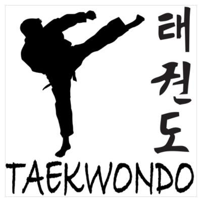 Video Màn đồng diễn Taekwondo đẹp mắt của nữ cảnh sát trẻ