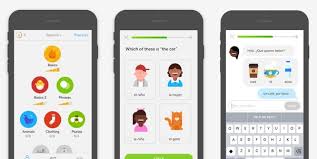 Thiết Kế App IOS v&agrave; App Android Ng&agrave;nh Gi&aacute;o Dục Chuy&ecirc;n Nghiệp Theo Y&ecirc;u Cầu