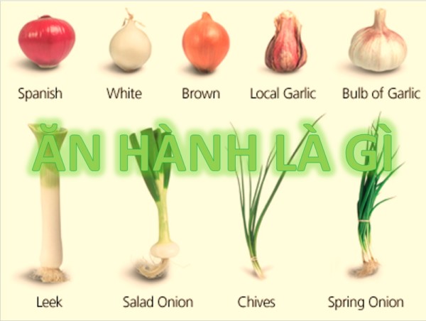 Ăn Hành Là Gì? Tìm Hiểu Về Ăn Hành Là Gì?