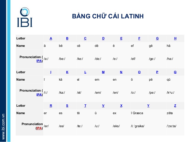 Bảng Chữ Cái Latinh Là Gì? Tìm Hiểu Về Bảng Chữ Cái Latinh Là Gì?