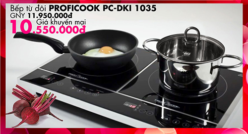 Bếp Từ Đôi Là Gì? Tìm Hiểu Về Bếp Từ Đôi Là Gì?