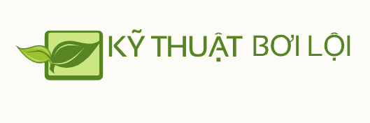 Bơi Lội Là Gì?  Tìm Hiểu Về Bơi Lội Là Gì?