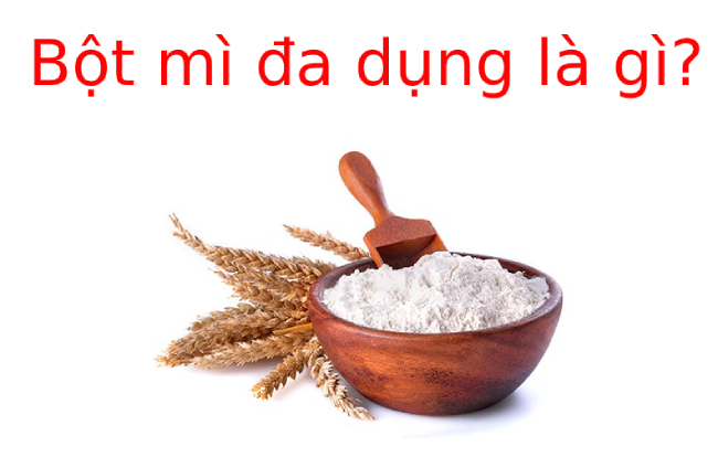 Bột mì đa dụng là gì? và  Cách bảo quản