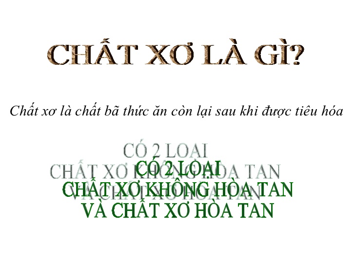 Chất Xơ Là Gì? Tìm Hiểu Về Chất Xơ Là Gì?