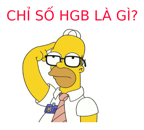 Chỉ số HgB trong xét nghiệm máu là gì?