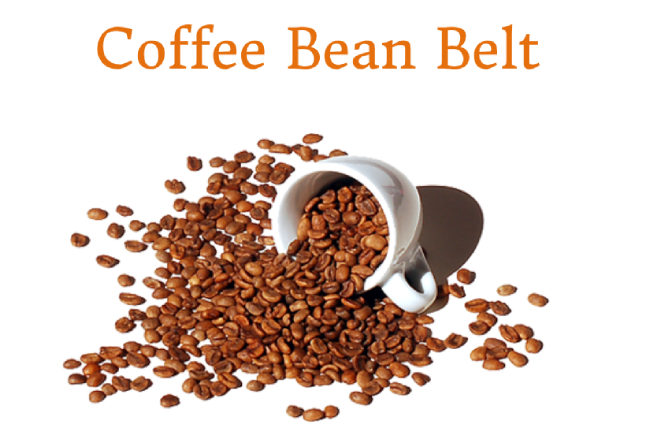 Coffee Bean Belt là gì? Đặc điểm của Coffee Bean Belt