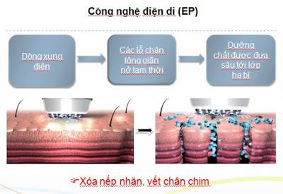 Công Nghệ Điện Di Là Gì? Tìm Hiểu Về Công Nghệ Điện Di Là Gì?