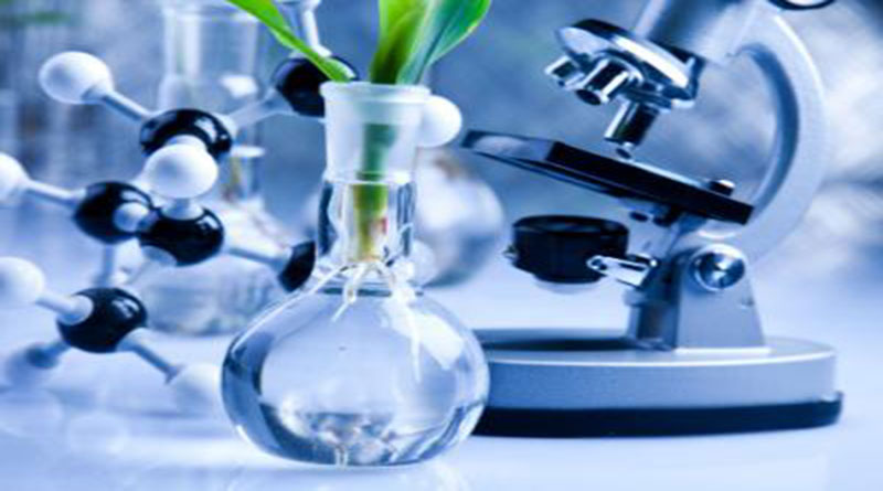 Công Nghệ Sinh Học Là Gì? Tìm Hiểu Về Công Nghệ Sinh Học Là Gì?