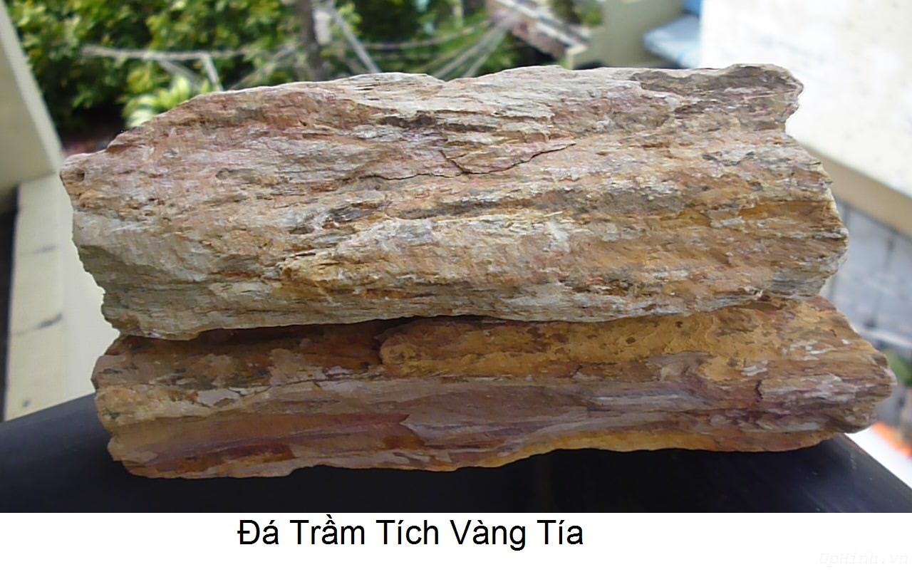 Đá Trầm Tích Là Gì? Tìm Hiểu Về Đá Trầm Tích Là Gì?