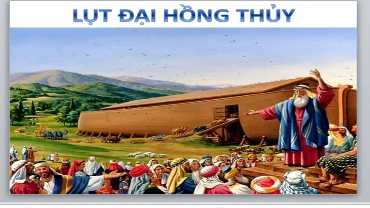 Đai Hồng Thủy Là Gì? Tìm Hiểu Về Đai Hồng Thủy Là Gì?