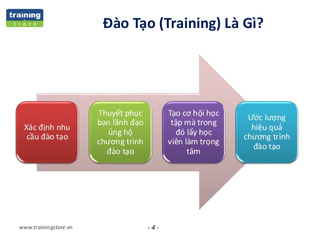 Đào Tạo Là Gì? Tìm Hiểu Về Đào Tạo Là Gì?