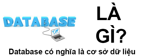Database Là Gì? Khái Niệm Về Database Là Gì?