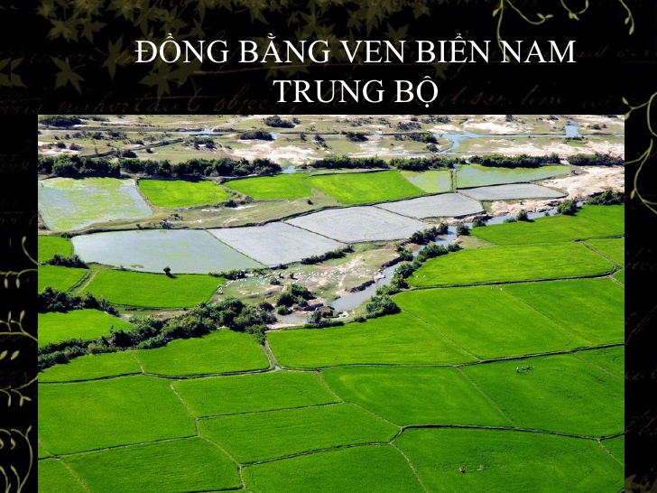 Đồng Bằng Là Gì? Tìm Hiểu Về Đồng Bằng Là Gì?