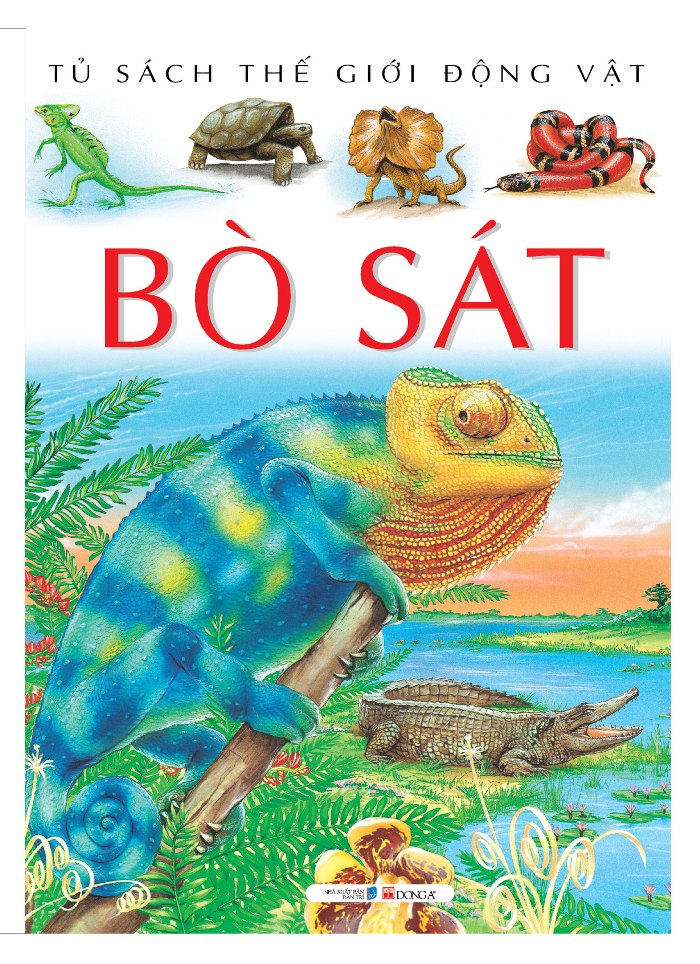 Động Vật Bò Sát Là Gì? Tìm Hiểu Về Động Vật Bò Sát Là Gì?