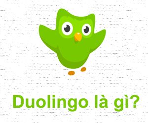 Duolingo Là Gì? Tìm Hiểu Về Duolingo Là Gì?