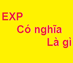 Exp Là Gì? Tìm Hiểu Về Exp Là Gì?